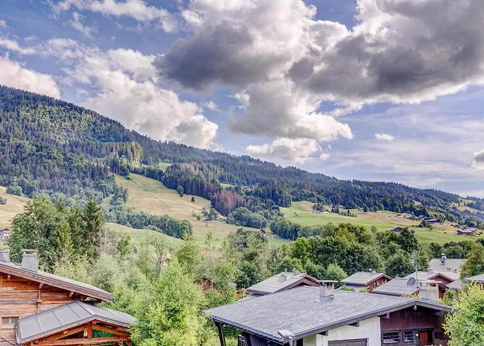 La Taniere Du Grizzly - Appt A Praz-Sur-Arly